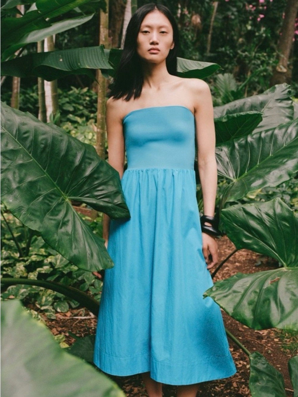 Aritzia Babaton Fluid Strapless Dress
